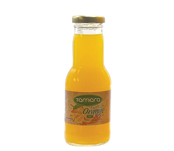 TAMARA ORANGE NECTAR 250 ml*24