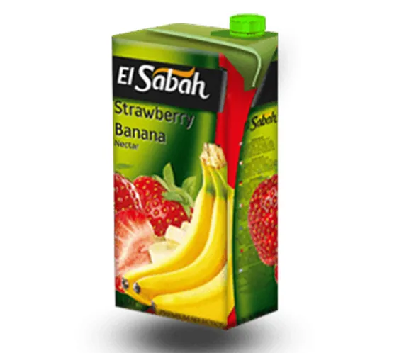 ELSABAH BANANA & STRAWBERRY NECTAR 1L*12